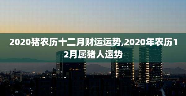 2020猪农历十二月财运运势,2020年农历12月属猪人运势