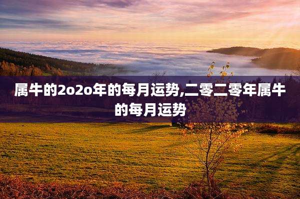属牛的2o2o年的每月运势,二零二零年属牛的每月运势