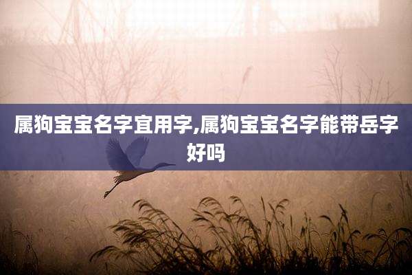 属狗宝宝名字宜用字,属狗宝宝名字能带岳字好吗