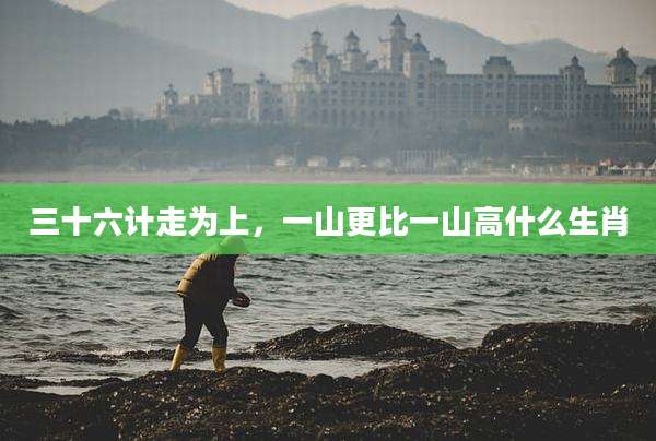 三十六计走为上，一山更比一山高什么生肖