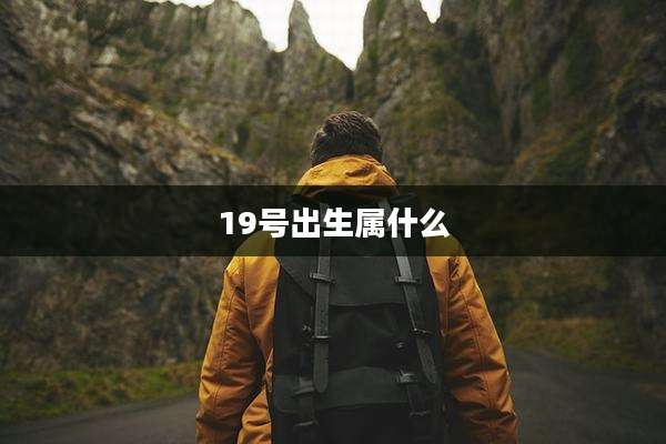 19号出生属什么