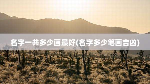 名字一共多少画最好(名字多少笔画吉凶)