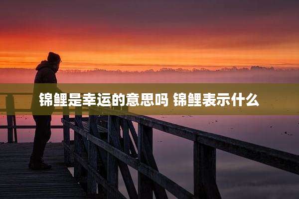 锦鲤是幸运的意思吗 锦鲤表示什么