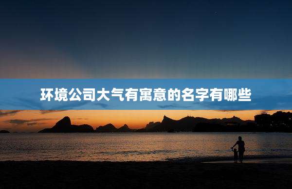 环境公司大气有寓意的名字有哪些