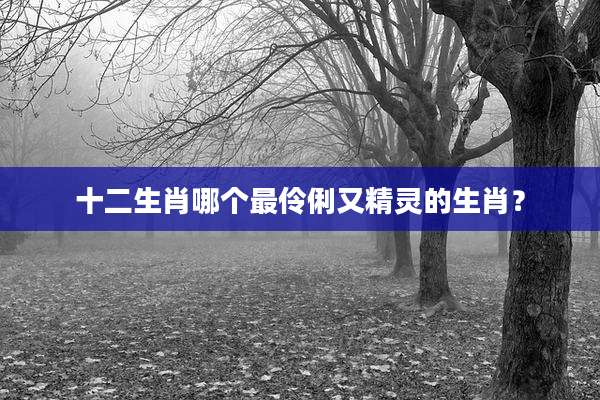 十二生肖哪个最伶俐又精灵的生肖?