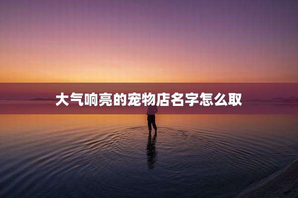 大气响亮的宠物店名字怎么取