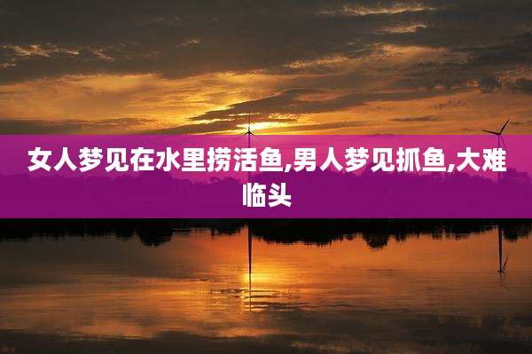 女人梦见在水里捞活鱼,男人梦见抓鱼,大难临头