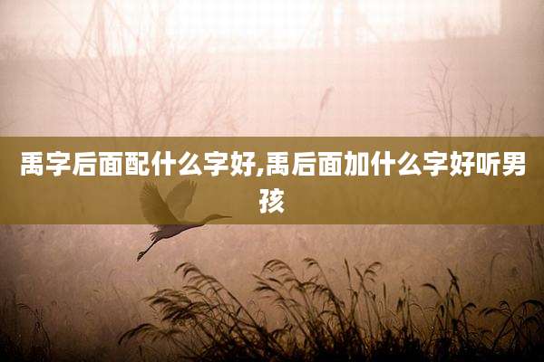 禹字后面配什么字好,禹后面加什么字好听男孩