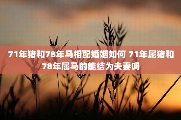 71年猪和78年马相配婚姻如何 71年属猪和78年属马的能结为夫妻吗