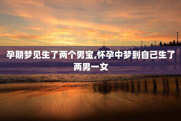 孕期梦见生了两个男宝,怀孕中梦到自己生了两男一女