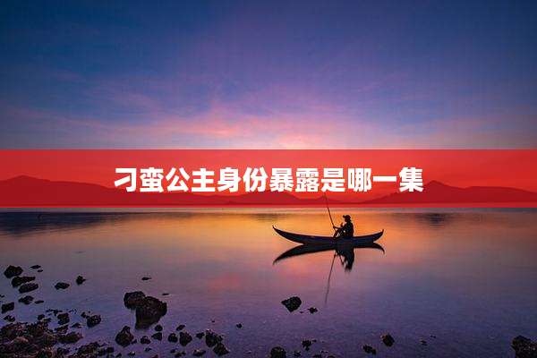刁蛮公主身份暴露是哪一集