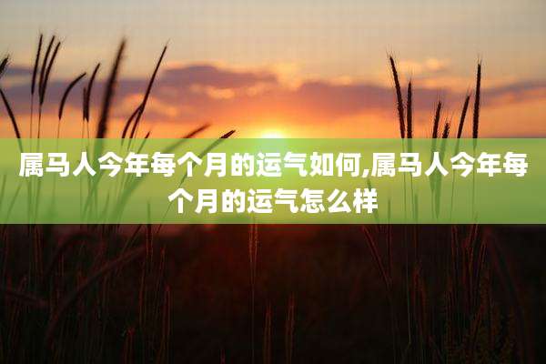 属马人今年每个月的运气如何,属马人今年每个月的运气怎么样