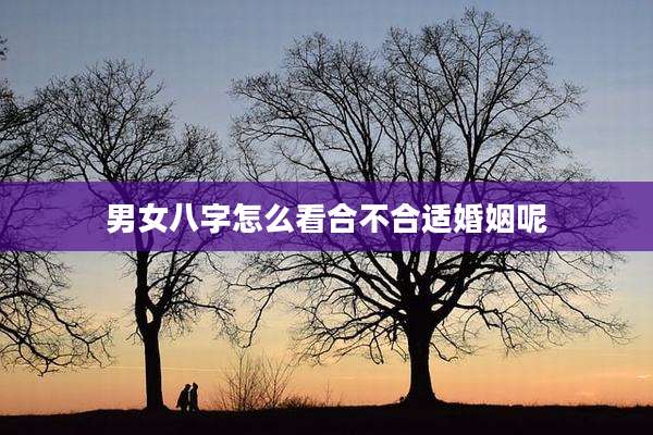 男女八字怎么看合不合适婚姻呢