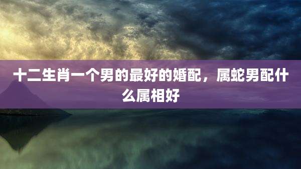 十二生肖一个男的最好的婚配,属蛇男配什么属相好