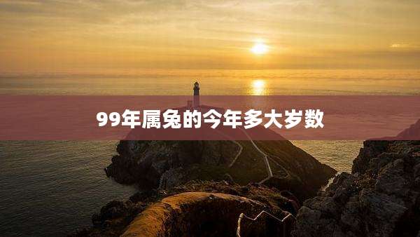 99年属兔的今年多大岁数