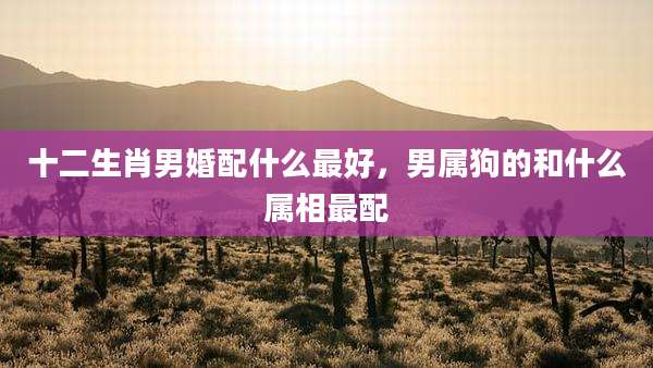 十二生肖男婚配什么最好,男属狗的和什么属相最配