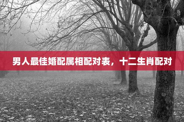 男人最佳婚配属相配对表,十二生肖配对