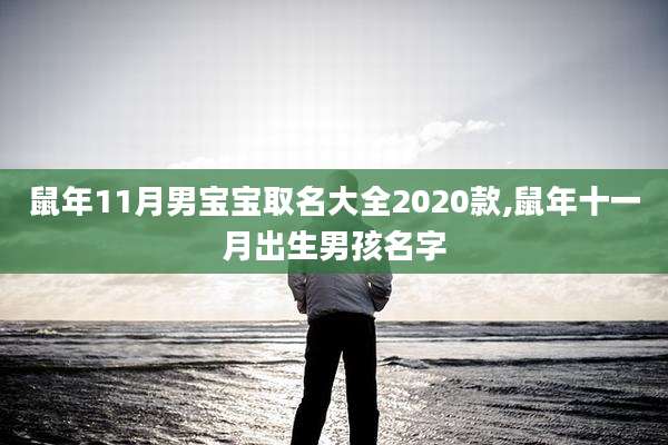 鼠年11月男宝宝取名大全2020款,鼠年十一月出生男孩名字
