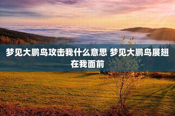 梦见大鹏鸟攻击我什么意思 梦见大鹏鸟展翅在我面前