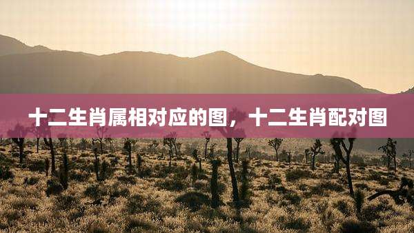 十二生肖属相对应的图，十二生肖配对图