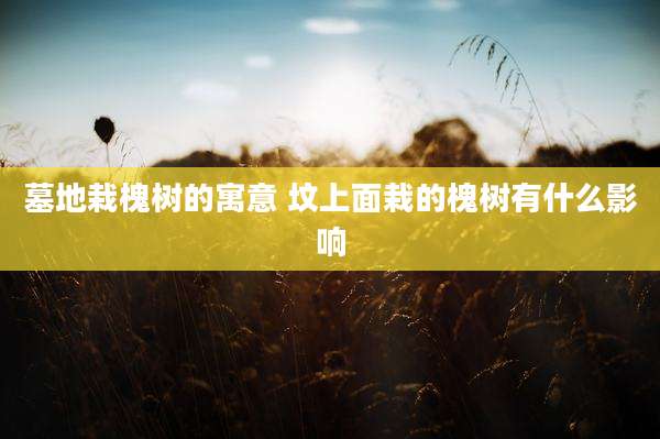墓地栽槐树的寓意 坟上面栽的槐树有什么影响