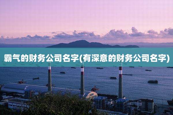 霸气的财务公司名字(有深意的财务公司名字)