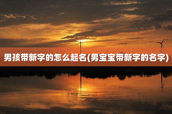 男孩带新字的怎么起名(男宝宝带新字的名字)