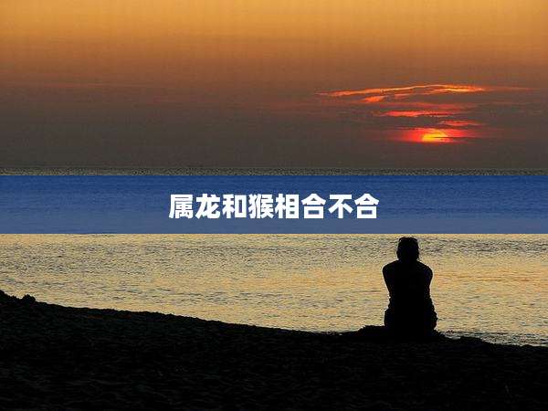 属龙和猴相合不合