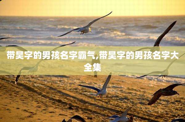 带昊字的男孩名字霸气,带昊字的男孩名字大全集