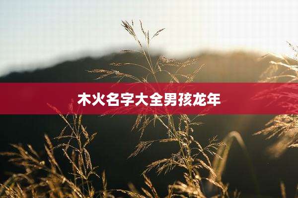木火名字大全男孩龙年
