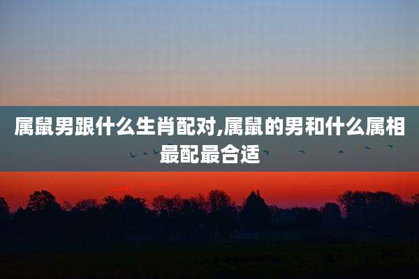 属鼠男跟什么生肖配对,属鼠的男和什么属相最配最合适