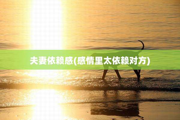 夫妻依赖感(感情里太依赖对方)