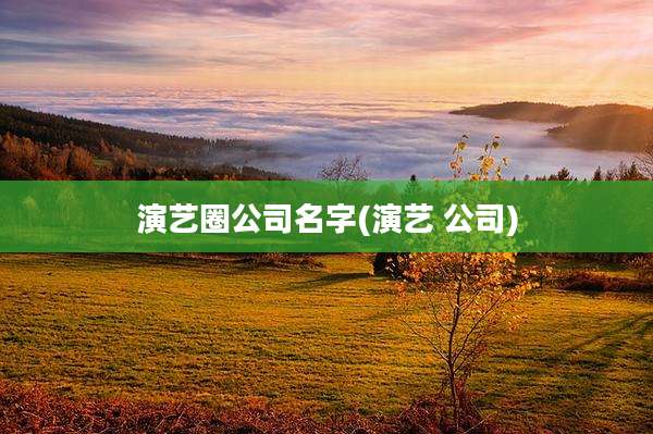 演艺圈公司名字(演艺 公司)