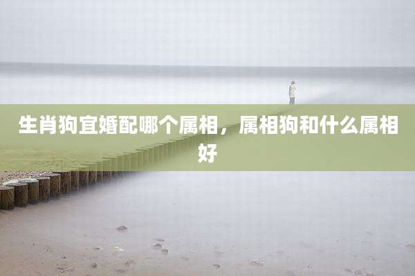 生肖狗宜婚配哪个属相,属相狗和什么属相好