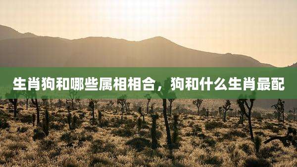 生肖狗和哪些属相相合,狗和什么生肖最配