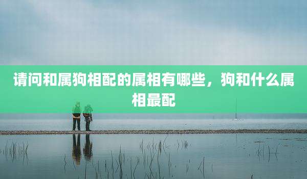 请问和属狗相配的属相有哪些,狗和什么属相最配