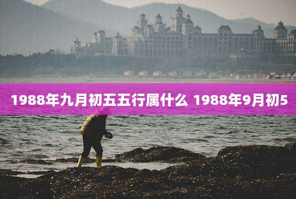 1988年九月初五五行属什么 1988年9月初5