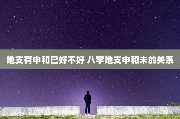 地支有申和巳好不好 八字地支申和未的关系