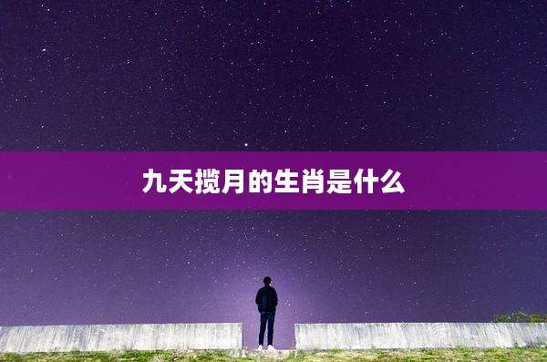九天揽月的生肖是什么