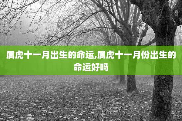 属虎十一月出生的命运,属虎十一月份出生的命运好吗
