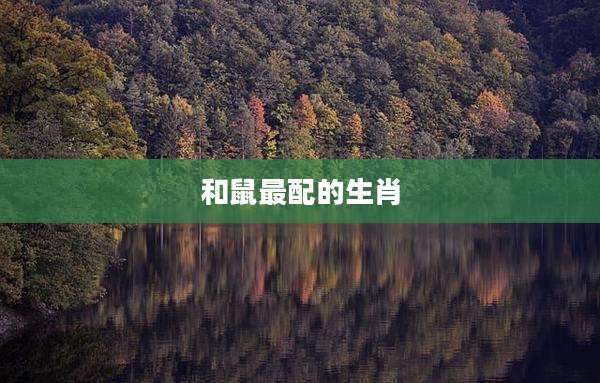 和鼠最配的生肖