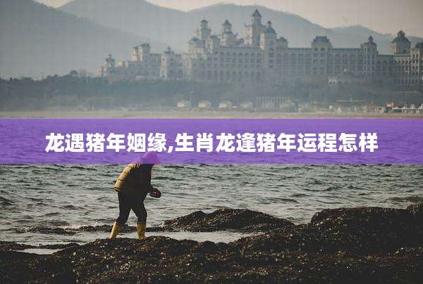 龙遇猪年姻缘,生肖龙逢猪年运程怎样