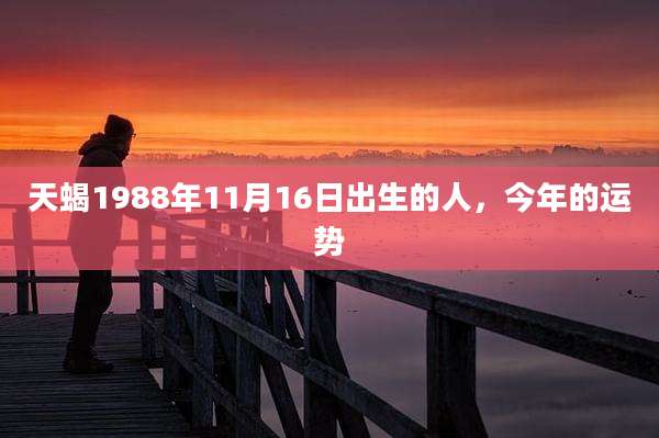 天蝎1988年11月16日出生的人,今年的运势