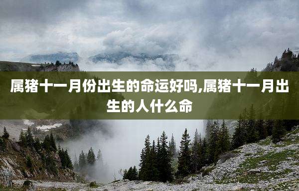 属猪十一月份出生的命运好吗,属猪十一月出生的人什么命