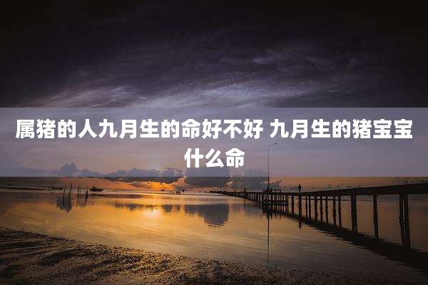 属猪的人九月生的命好不好 九月生的猪宝宝什么命
