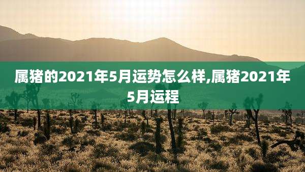 属猪的2021年5月运势怎么样,属猪2021年5月运程