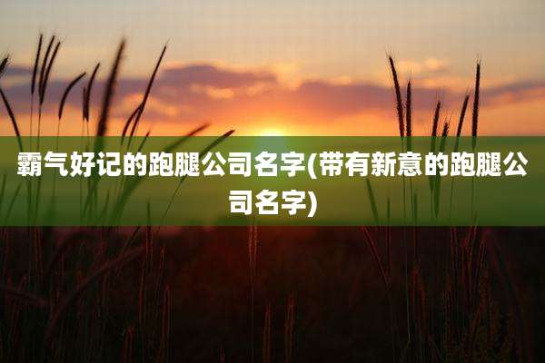霸气好记的跑腿公司名字(带有新意的跑腿公司名字)