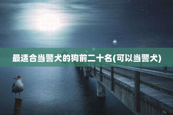 最适合当警犬的狗前二十名(可以当警犬)