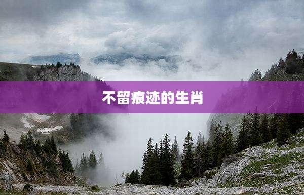 不留痕迹的生肖
