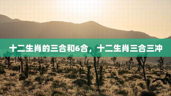 十二生肖的三合和6合，十二生肖三合三冲